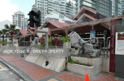 Balestier Plaza (D12), Apartment #199731012